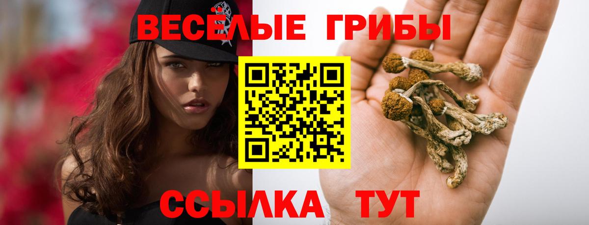Псилоцибиновые грибы мухоморы Сызрань